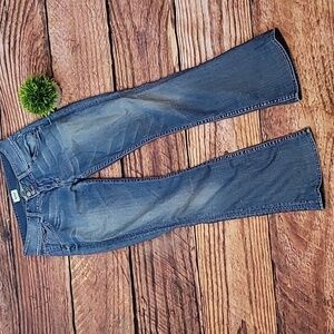 Hudson Flare Jeans
